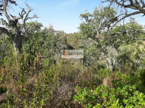 Terreno Rústico  Venda em Santa Clara-a-Nova e Gomes Aires,Almodôvar