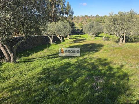 Quinta T2 Venda em Santa Cruz,Almodôvar