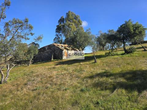 Quinta T2 Venda em Santa Cruz,Almodôvar