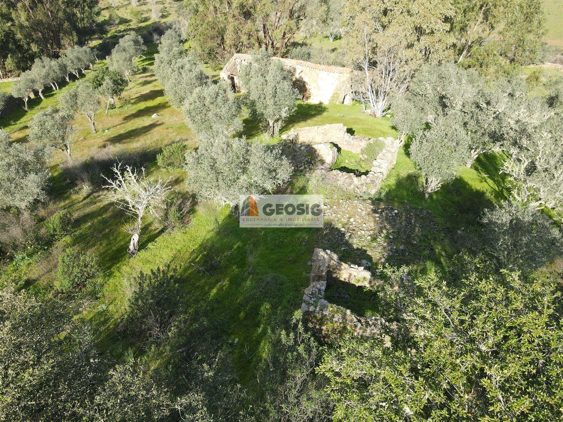 Quinta T2 Venda em Santa Cruz,Almodôvar