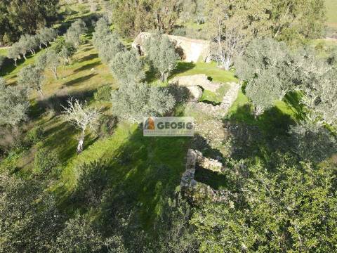 Quinta T2 Venda em Santa Cruz,Almodôvar