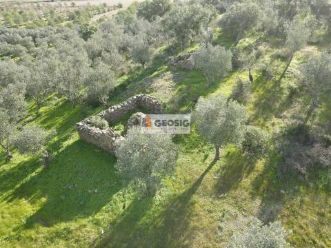 Quinta T2 Venda em Santa Cruz,Almodôvar