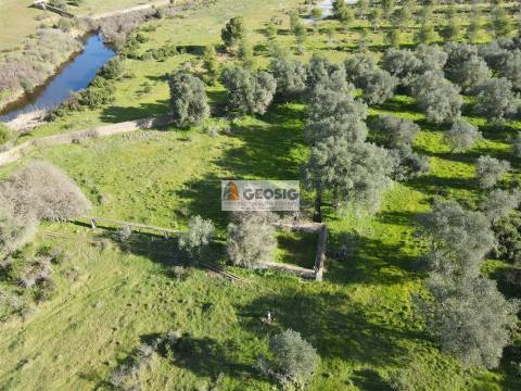 Quinta T2 Venda em Santa Cruz,Almodôvar