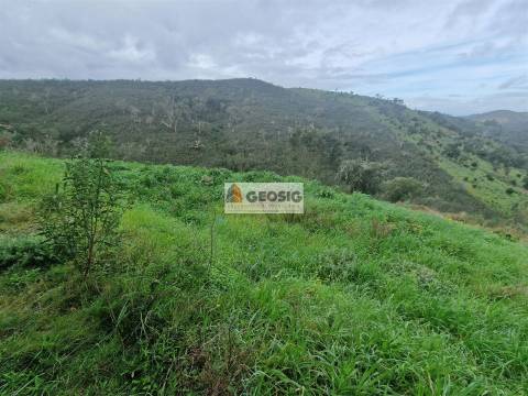 Herdade T4 Venda em Santana da Serra,Ourique