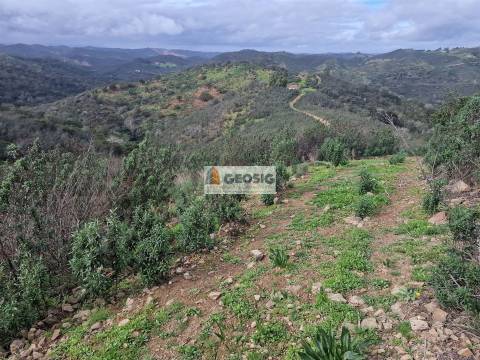 Terreno Rústico  Venda em Santana da Serra,Ourique