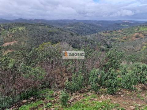 Terreno Rústico  Venda em Santana da Serra,Ourique