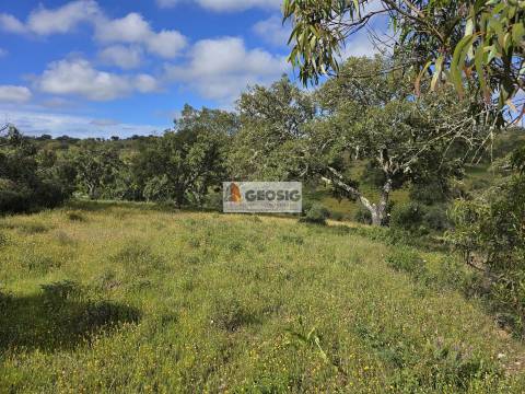 Quintinha T1 Venda em Almodôvar e Graça dos Padrões,Almodôvar
