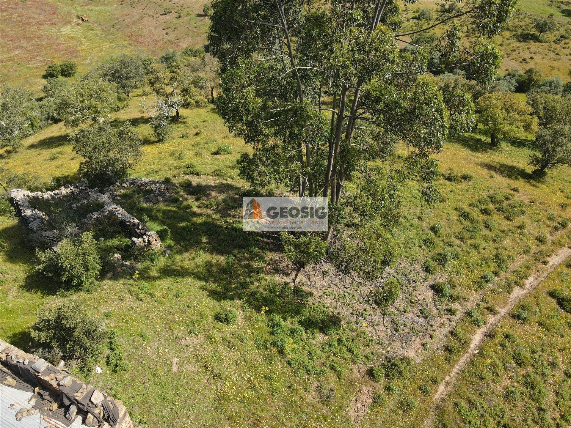 Quintinha T1 Venda em Almodôvar e Graça dos Padrões,Almodôvar
