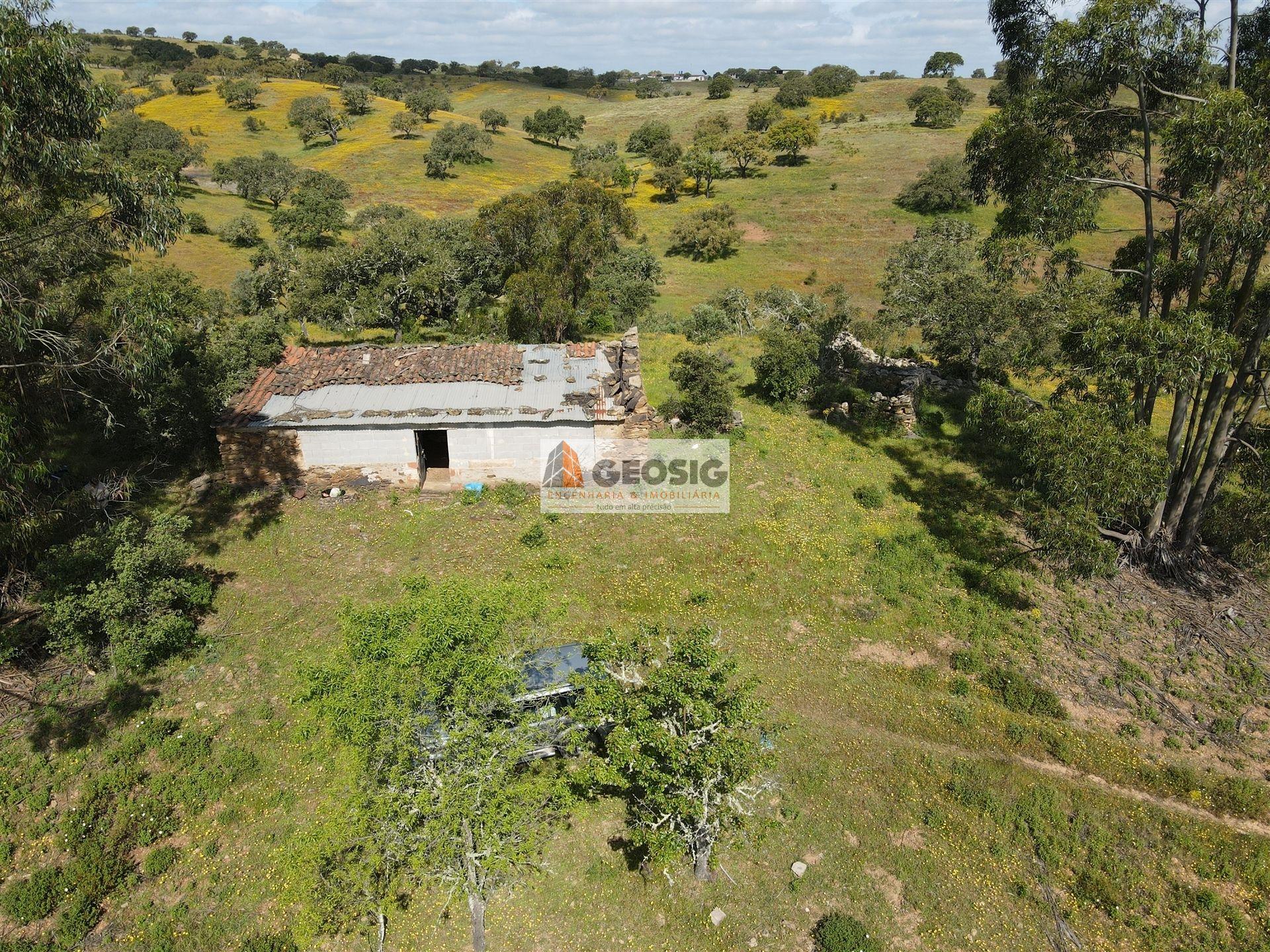 Quintinha T1 Venda em Almodôvar e Graça dos Padrões,Almodôvar