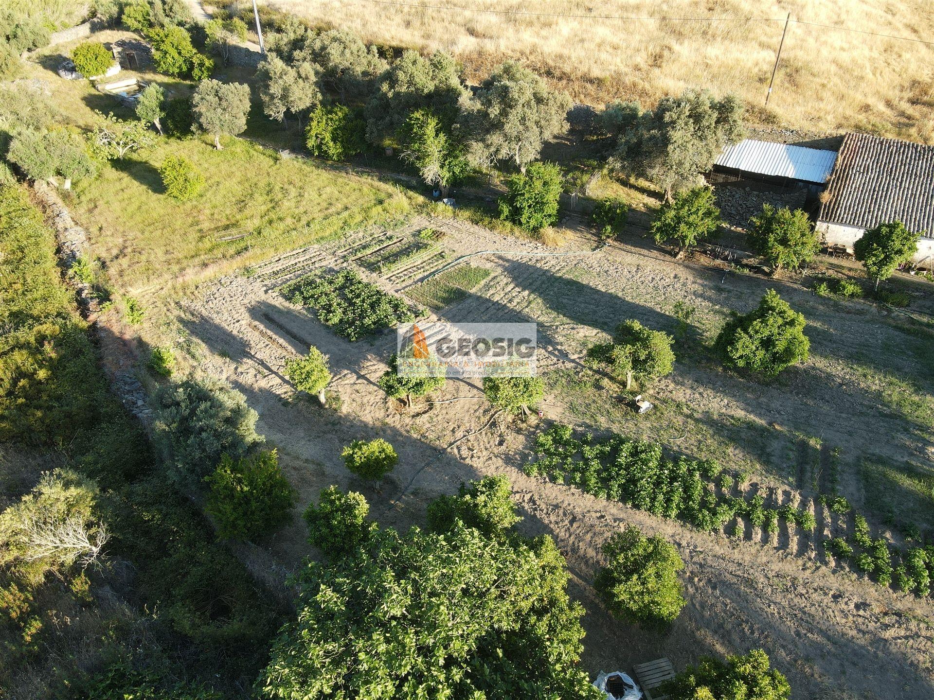 Quintinha T1 Venda em São Miguel do Pinheiro, São Pedro de Solis e São 
<!DOCTYPE html>
<html lang=