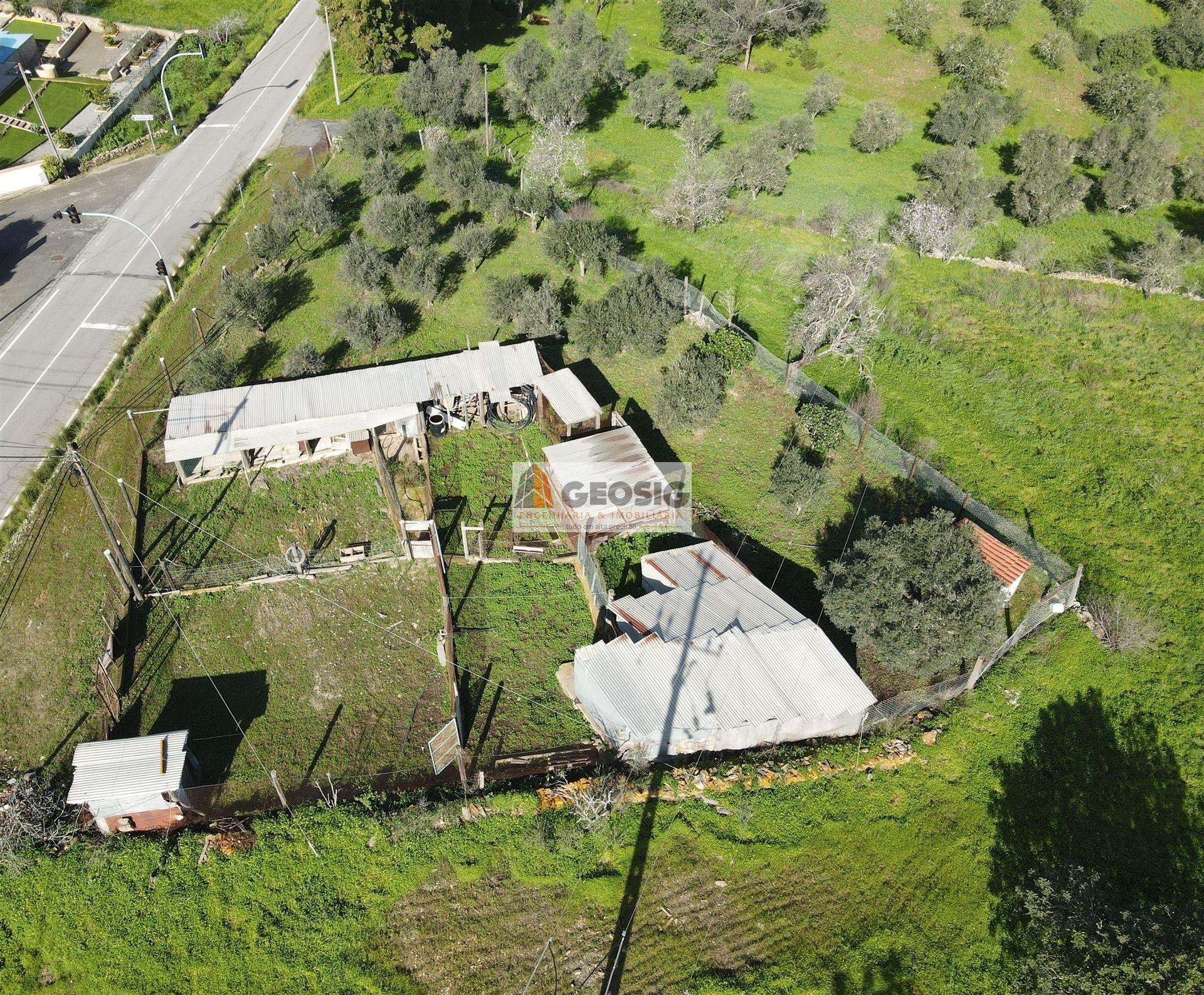 Terreno  Venda em Espírito Santo,Mértola