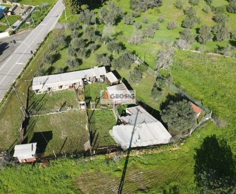 Terreno  Venda em Espírito Santo,Mértola