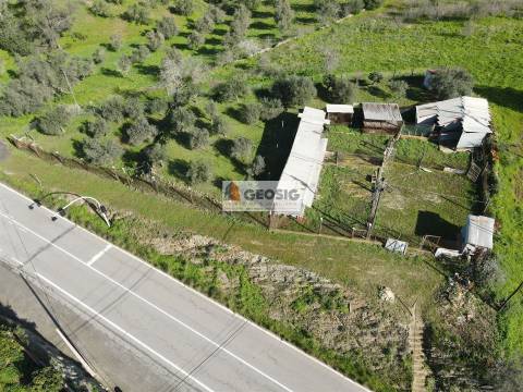 Terreno  Venda em Espírito Santo,Mértola