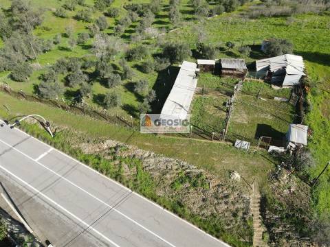 Terreno  Venda em Espírito Santo,Mértola