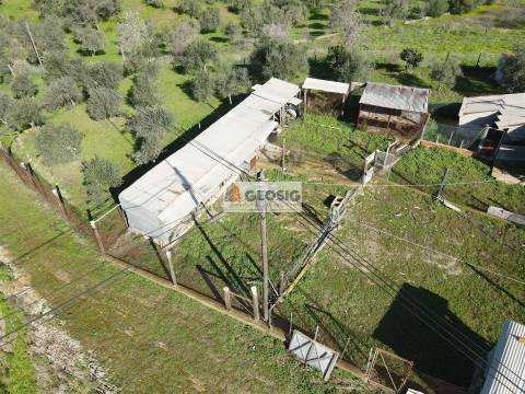 Terreno  Venda em Espírito Santo,Mértola