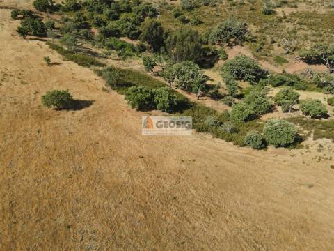 Terreno Rústico  Venda em Garvão e Santa Luzia,Ourique