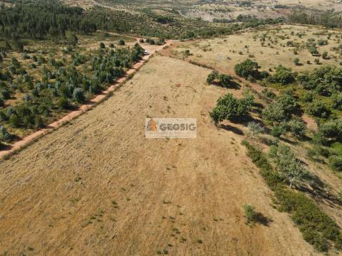 Terreno Rústico  Venda em Garvão e Santa Luzia,Ourique