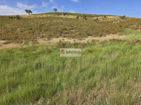 Herdade T3 Venda em Santa Clara-a-Nova e Gomes Aires,Almodôvar