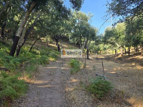 Herdade T2, Beja, Odemira, Relíquias