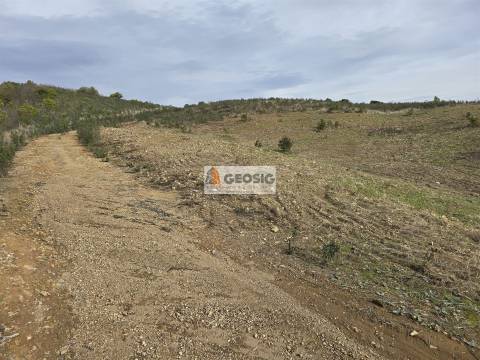 Terreno Rústico  Venda em São Barnabé,Almodôvar