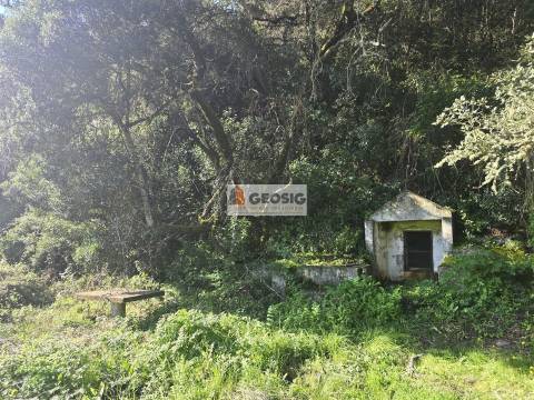 Terreno Rústico  Venda em Santa Clara-a-Nova e Gomes Aires,Almodôvar