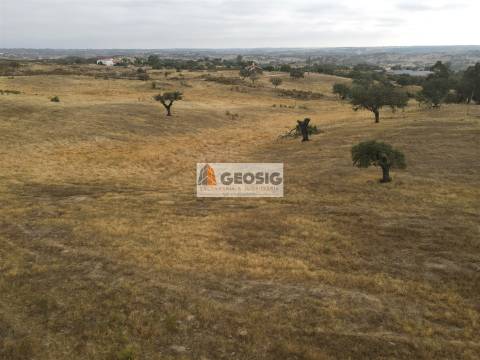 Quinta T3 Venda em Santa Clara-a-Nova e Gomes Aires,Almodôvar