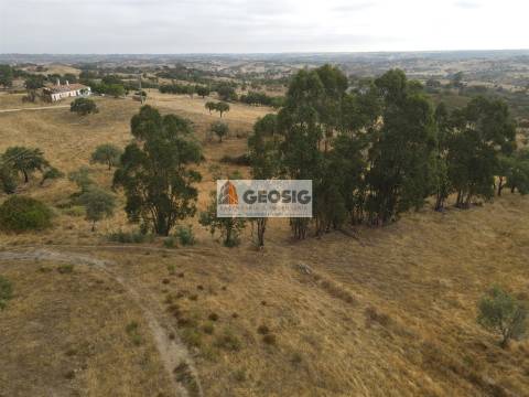 Quinta T3 Venda em Santa Clara-a-Nova e Gomes Aires,Almodôvar