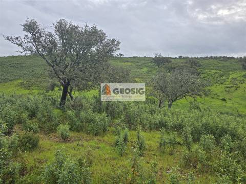 Quinta T3 Venda em Santa Clara-a-Nova e Gomes Aires,Almodôvar
