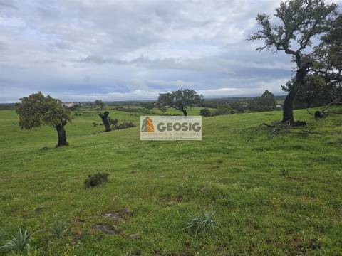 Quinta T3 Venda em Santa Clara-a-Nova e Gomes Aires,Almodôvar