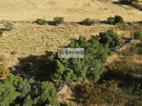 Herdade T3 Venda em Santa Cruz,Almodôvar