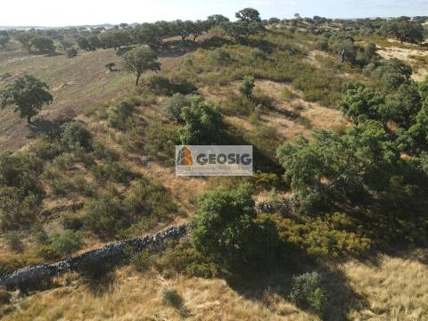 Herdade T3 Venda em Santa Cruz,Almodôvar