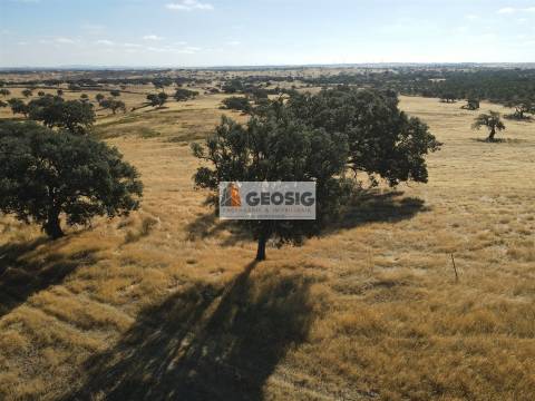 Herdade T3 Venda em Santa Cruz,Almodôvar