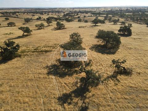 Herdade T3 Venda em Santa Cruz,Almodôvar