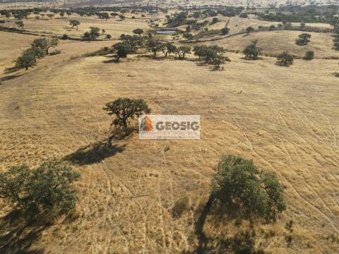 Herdade T3 Venda em Santa Cruz,Almodôvar