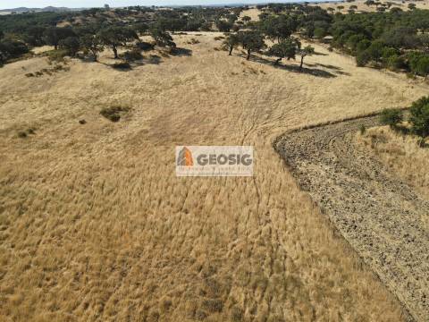 Herdade T3 Venda em Santa Cruz,Almodôvar
