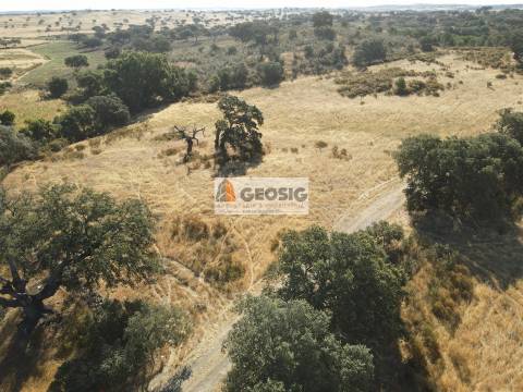 Herdade T3 Venda em Santa Cruz,Almodôvar