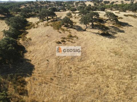 Herdade T3 Venda em Santa Cruz,Almodôvar