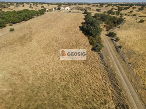 Herdade T3 Venda em Santa Cruz,Almodôvar