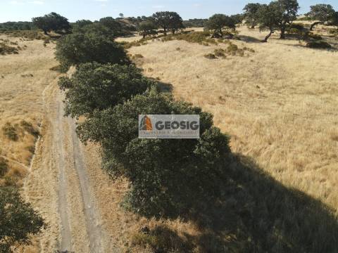Herdade T3 Venda em Santa Cruz,Almodôvar