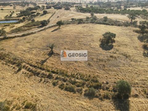 Herdade T3 Venda em Santa Cruz,Almodôvar