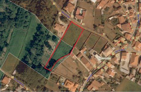 Terreno Urbano  Venda em São Roque,Oliveira de Azeméis