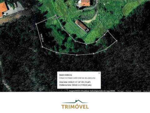 Terreno Rústico  Venda em Pinheiro da Bemposta, Travanca e Palmaz,Oliveira de Azeméis
