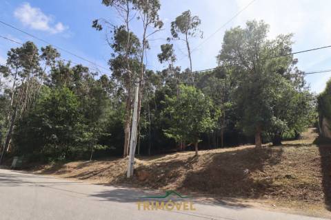 Terreno Para Construção  Venda em São Roque,Oliveira de Azeméis