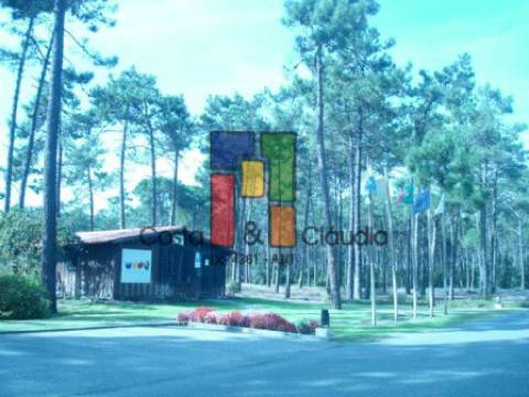 Terreno Para Construção  Venda em Praia de Mira,Mira