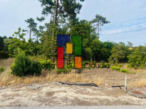 Terreno Para Construção  Venda em Praia de Mira,Mira