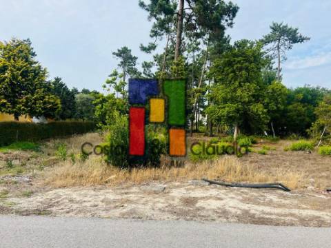 Terreno Para Construção  Venda em Praia de Mira,Mira