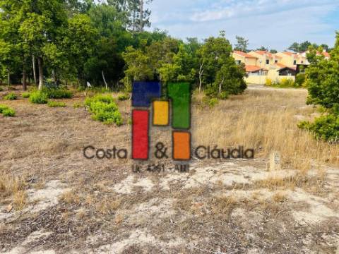 Terreno Para Construção T4 Venda em Praia de Mira,Mira