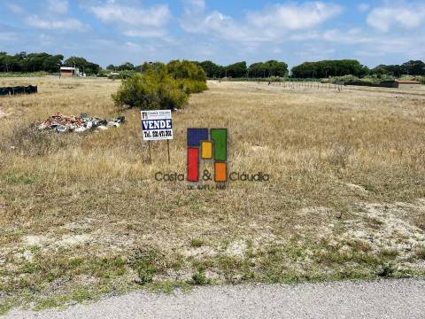 Terreno Urbano  Venda em Praia de Mira,Mira
