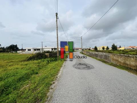 Terreno Urbano  Venda em Mira,Mira