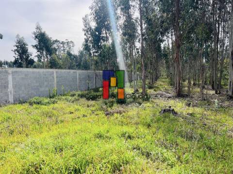 Terreno Misto  Venda em Carapelhos,Mira